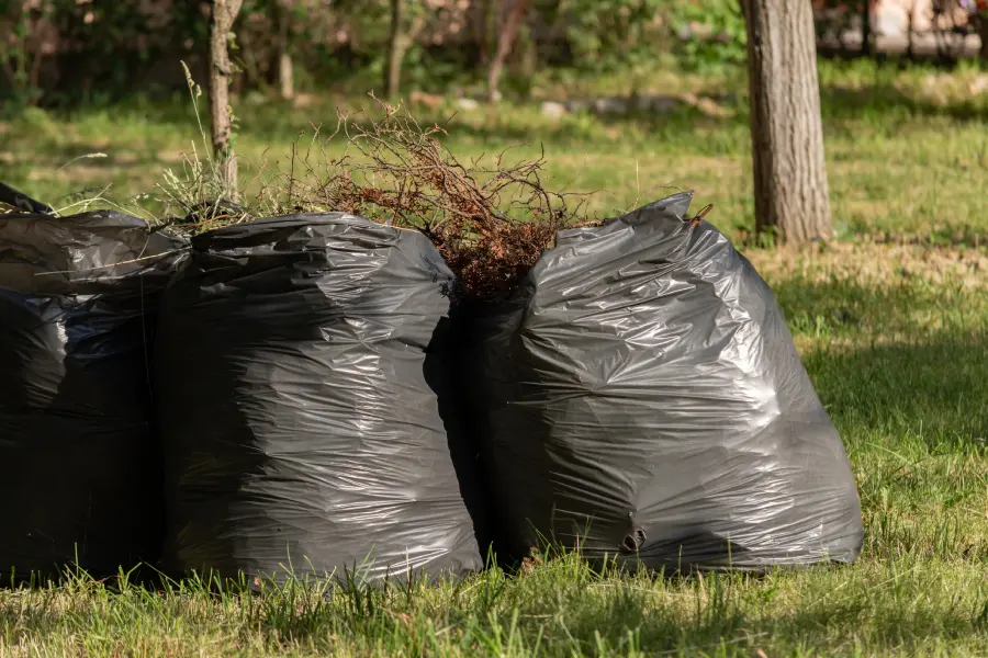 The Link Between Yard Waste Removal and Lawn Health San Francisco, CA
