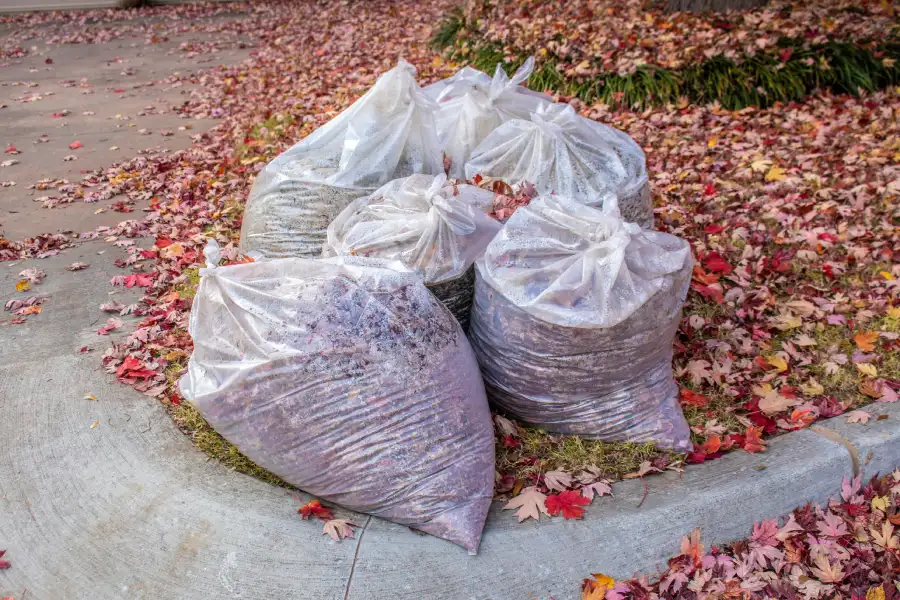 The Link Between Yard Waste Removal and Lawn Health in San Francisco, CA